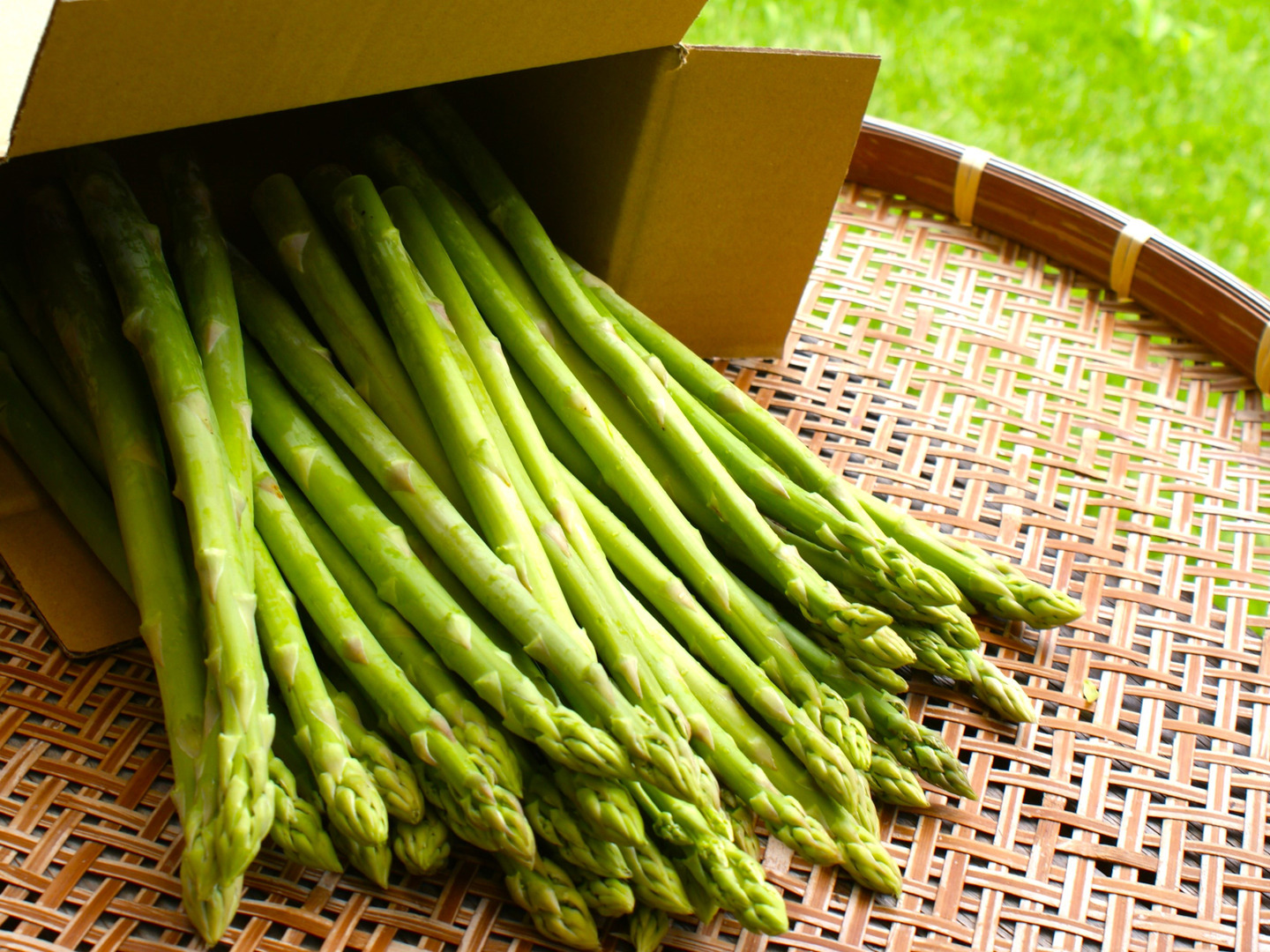 アスパラガス e3ab0ae4b8cba888e6e4b86ad85fdb