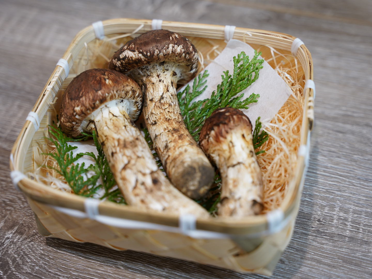 岩手県産松茸　良品　初物 seika_item400.jpg