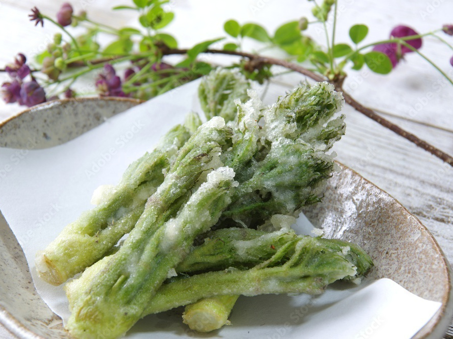 新品入荷 天然！採れたてタラの芽！：山形県産のタラノメ｜食べチョク 野菜