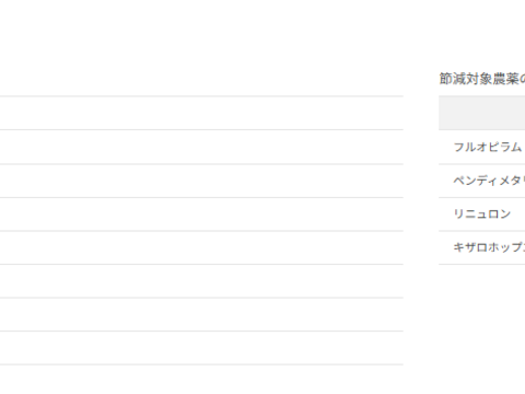 【訳あり】フルーツにんじん アロマレッド B品 15kg【特別栽培】