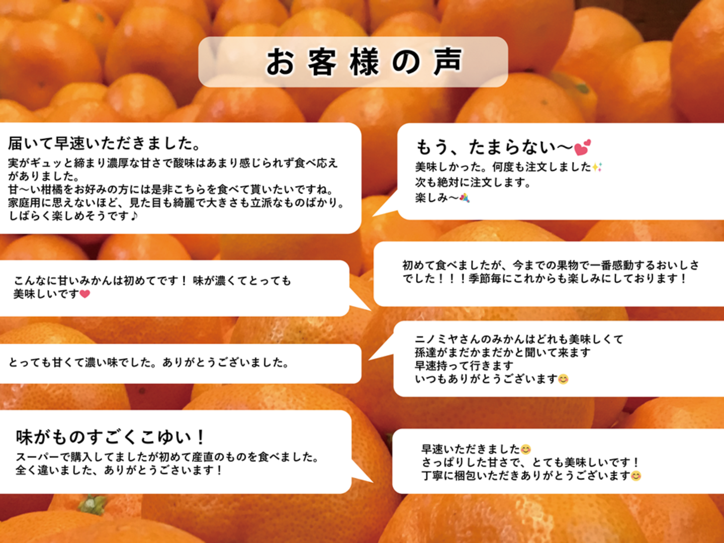まるで天然ゼリー！まどんな（ご家庭用・2㎏）：愛媛県産のみかん・柑橘類｜食べチョク｜産地直送(産直)お取り寄せ通販 - 農家・漁師から旬の食材を直送