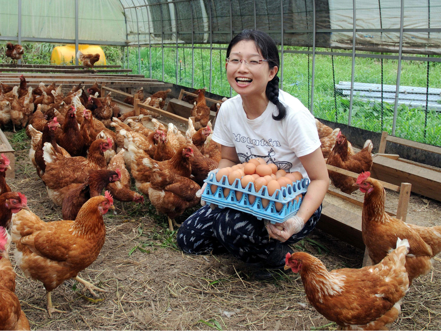 格安人気 ほんまの卵」の初卵 30個：佐賀県産の平飼い｜食べチョク｜産地 その他