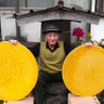 田嶋憲治