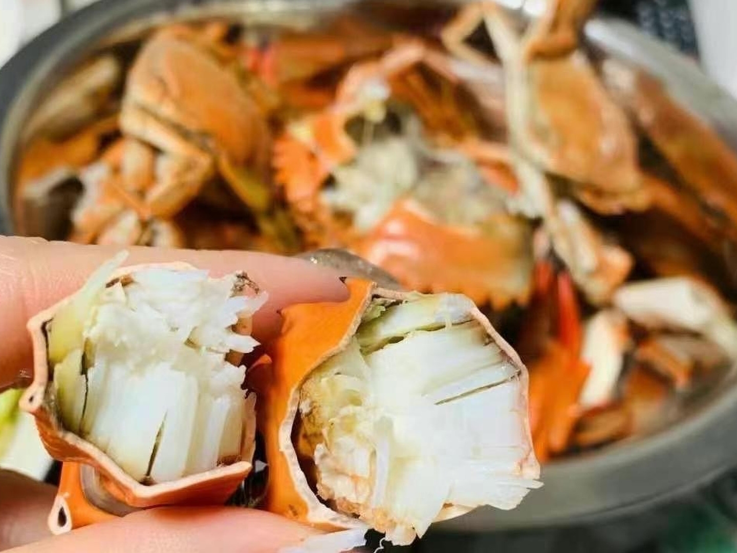 【休業日はプロフ参照「食用イシガニ 石蟹８kg 冷凍発送のみ」 送料無料 4ｋｇ×２箱で発送 店長漁獲の漁師直送品 松島牡蠣屋 離島沖縄対象外 ＢＢＱ 母の日 父の日 ギフト 食べ物 お中元 お歳暮 バーベキュー 海産物 8キロ 食用イシガニ 石蟹4kg×2箱で8kg 」店長漁獲の漁師直送品 松島