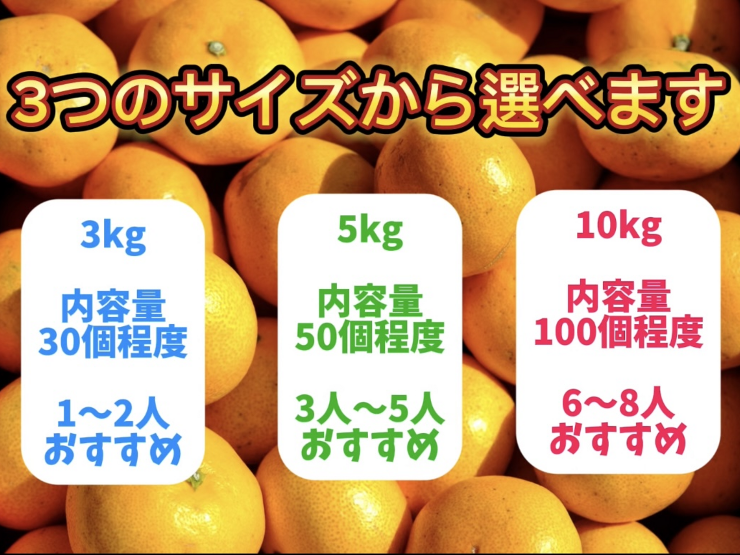 明浜産 浜のみかん屋直送 減農薬温州みかん（5kg） - 愛媛県西予