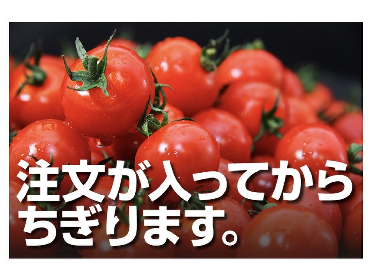 【極み】希少な高濃度フルーツトマト　ソムリエミニトマト　プラチナ３kg（１２０玉～２００玉） 予約】『極み』【希少な高濃度フルーツトマト】ソムリエミニ