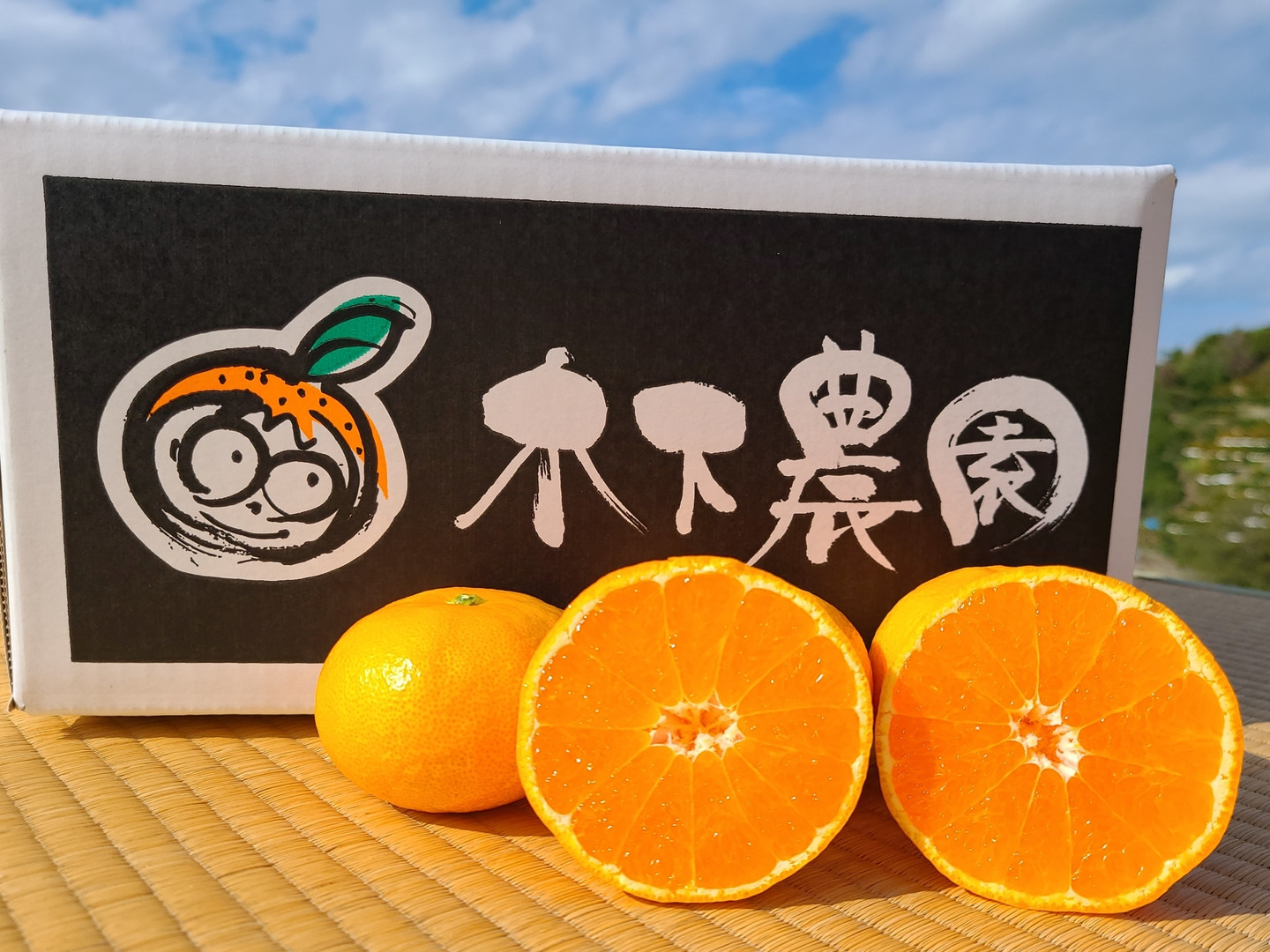 【人気投票 】ハイブランド人気ランキング！ 予約セール】木下さんちのみかん『良品3キロ』：愛媛県産の 果物