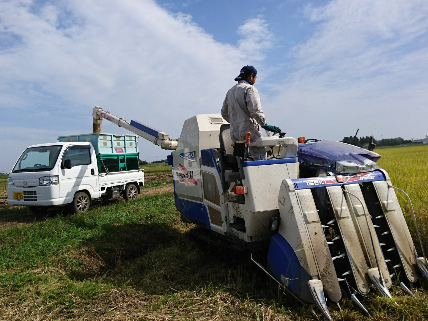 白米 10kg ひとめぼれ　特別栽培 R7年産 白米】10kg 特別栽培米 3種（ひとめぼれ・つや姫