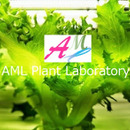 AML植物研究所
