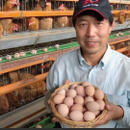 花井養鶏場へのレビュー 商品 愛知県 食べチョク 産地直送 産直 お取り寄せ通販 農家 漁師から旬の食材を直送