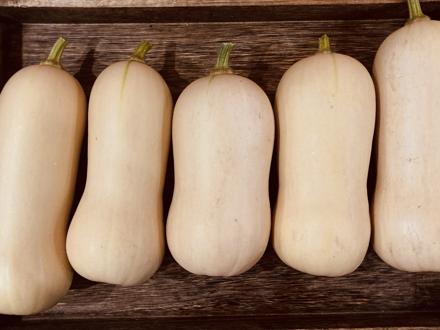 人気定番の d8aa3b0fada628b4c192c640e74462 野菜
