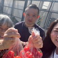 志村農園