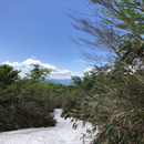 山形の森と田園