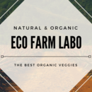 Eco Farm Labo