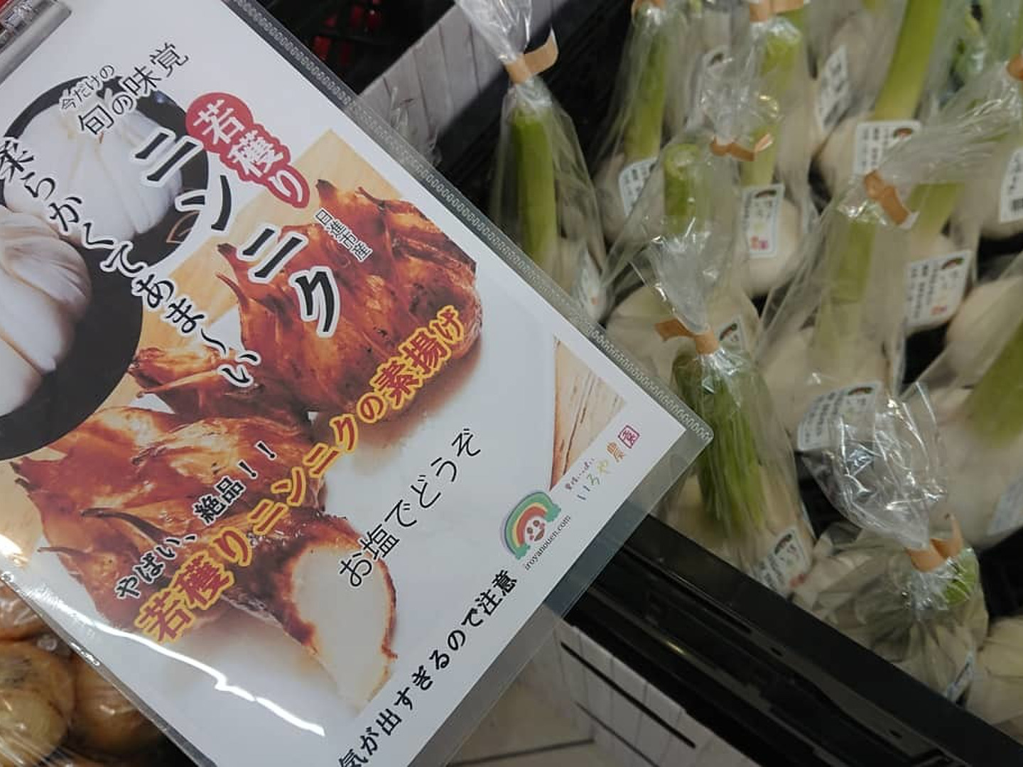 新鮮最終日】生にんにく 9kg 愛知県産 - メルカリ
