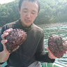 嵩海丸