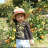 特別栽培みかん HATANAKAFARM 畑中園