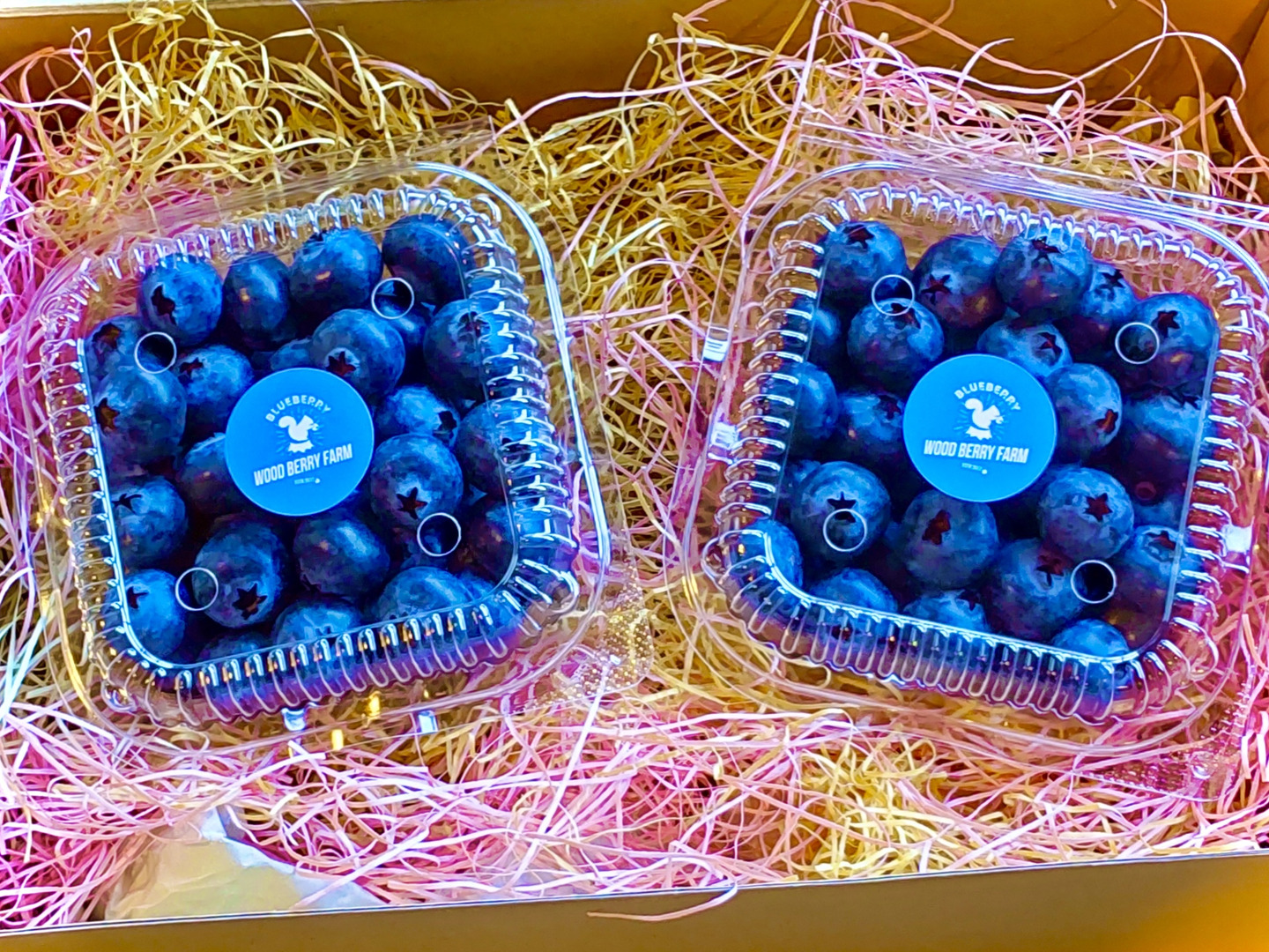 6029617c6b235ef17a1e399ce5840c