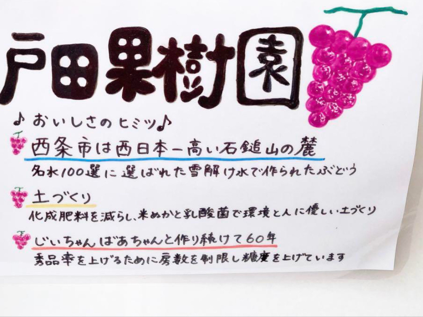 【お試し価格】シャインマスカット　4kg6から8房愛媛県西条市 お試し価格限定5箱シャインマスカット1kg 2から3房愛媛西条市