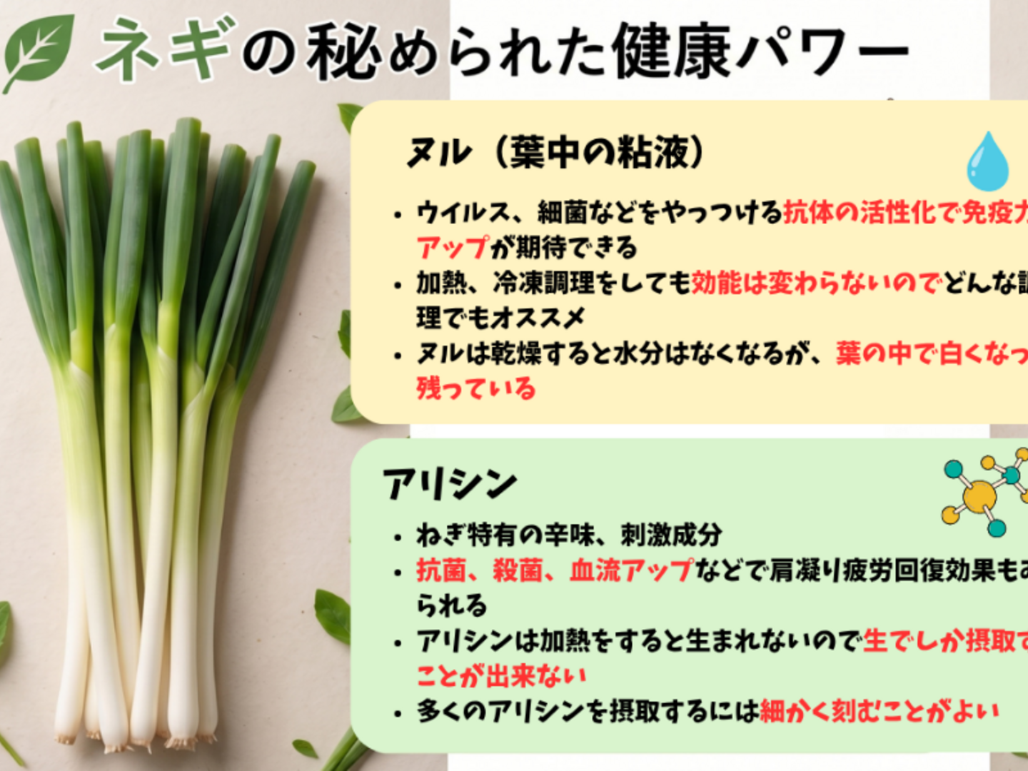深谷蜜ねぎ（2.5kg）｜農家直送・新戒産深谷ねぎの甘みたっぷり：埼玉