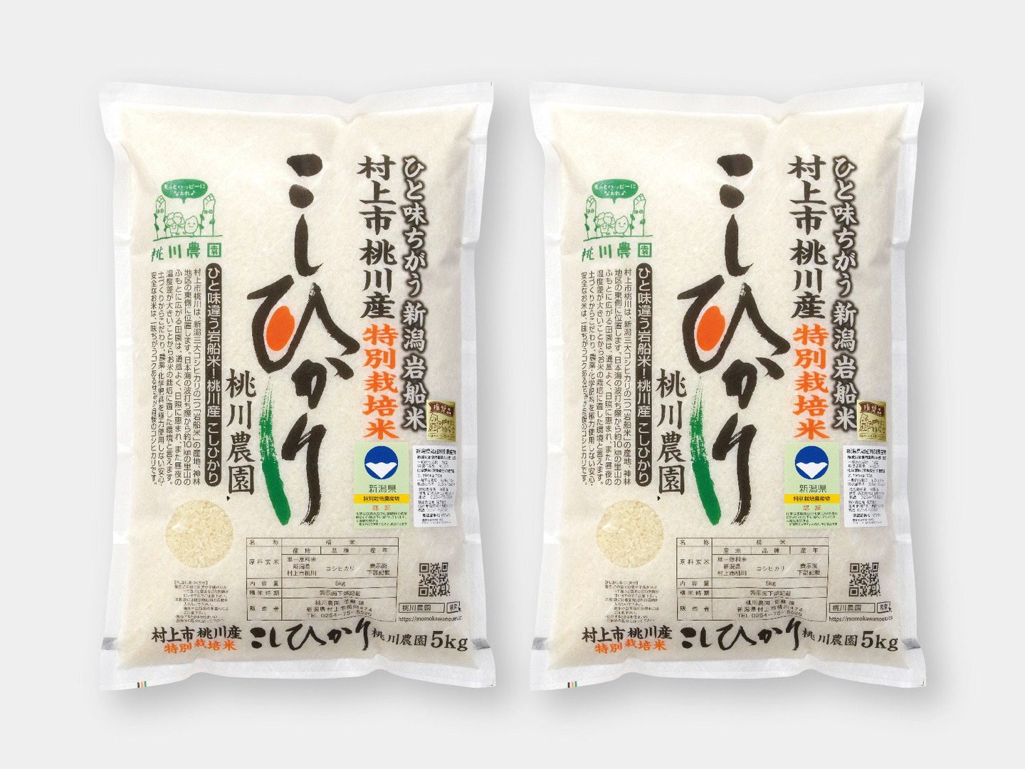 新米予約 令和8年産】コシヒカリ特別栽培米4kg（2kg×2）：新潟県産の