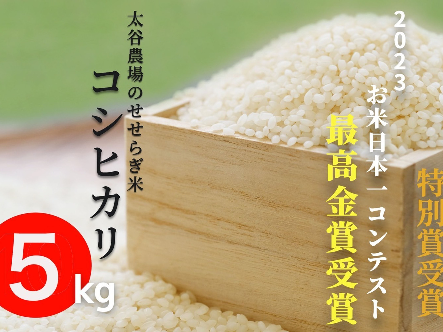 2024人気特価 46584720e40f2f5595573bf9072fb0 米・雑穀・粉類