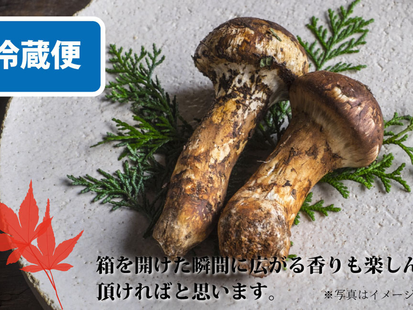 岩手県の松茸Sサイズ　約200g 数量限定 岩手県たのはた産 希少天然松茸 約200g | 岩手県田野畑