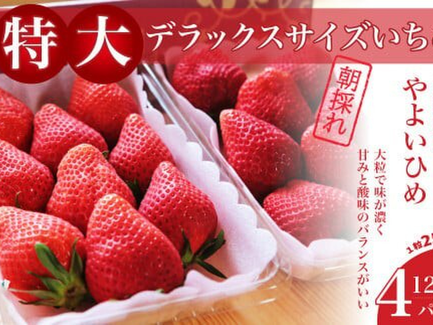 【送料無料/新品】 茨城県産 いちご 2パック×1箱【やよいひめ】(特大DX)：茨城県 果物