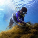 生もずく直送 正栄丸