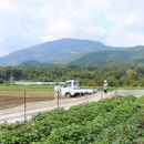 野野農園