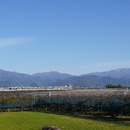高橋ファーム