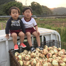 KAMA FARM(釜ファーム)