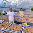 山本やすお農園(和歌山県日高郡)