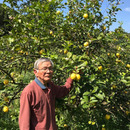 伊東 三枝農園