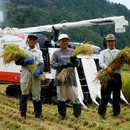 上小田代
