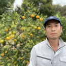 大分柑橘