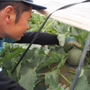 kogofarm