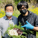 高知県産仁淀川きくらげ