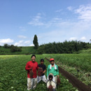 極甘熟成やきいも専門「SAZANKA」