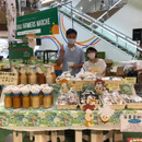 B品特価】農家直送！エリンギ1.2kg：宮崎県産のエリンギ｜食べ