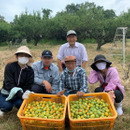 青谷梅工房