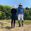 んめえ米