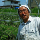 タンポポ農園