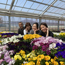 加藤花園
