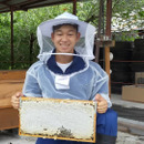 Fujimasa bee farm