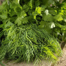 HERB STAND