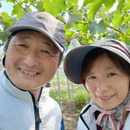 ファーム うえぐし