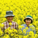 天の川・菜の花油工房