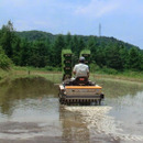 土遊野