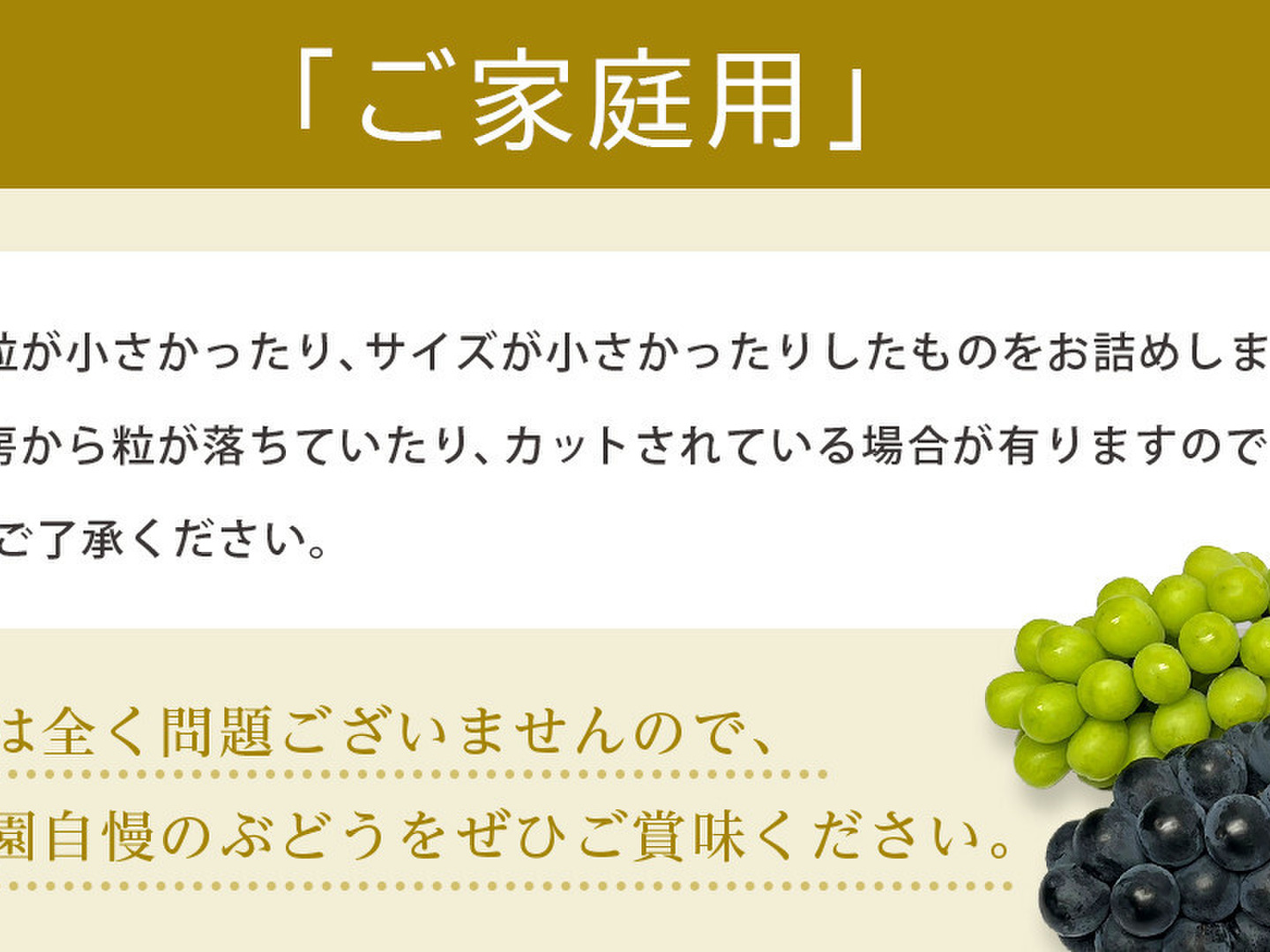 数量限定】芳醇な甘さ！完熟・種あり巨峰（ご家庭用）｜約1kg